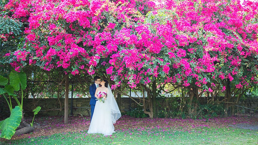 catering venues | Fairchild Garden | wedding venues in miami