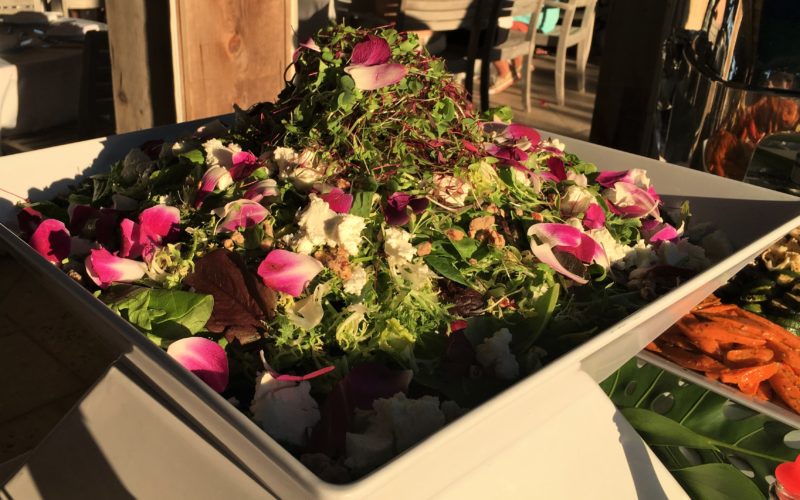 Mixed Baby Greens with Montrachet Goat Cheese, Caramelized Pecans, Edible Flower Blooms and a Passion Fruit Vinaigrette