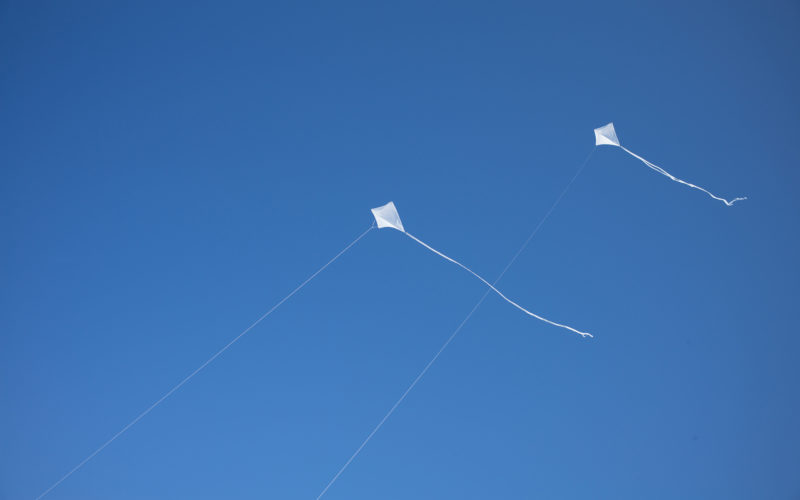 White kites soar high above the beach wedding ceremony
