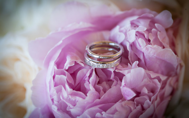 Beautiful wedding rings for this lesbian wedding couple