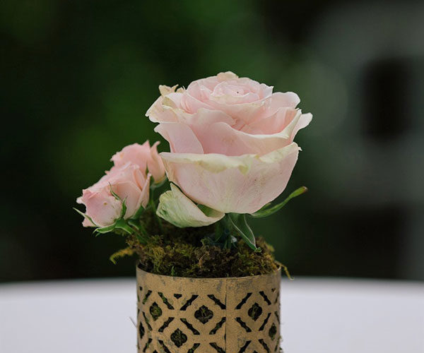 Pale pink rose in a vintage bud vase at Wendy and Marc's Deering Estate wedding