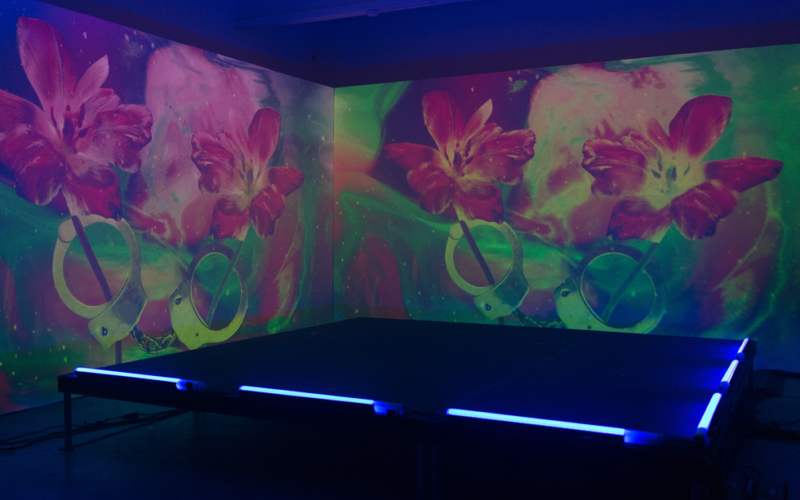 Nick Thomm's hyper-pigmented projection installation at the Soundcloud x 1800 Tequila Art Basel Party | Wynwood Arts District