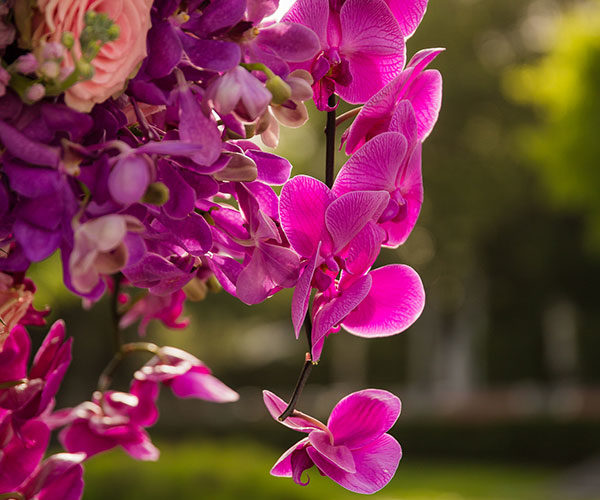 Ceremony decor detail | Vibrant pink, purple and ultra violet floral pedestals add a pop of color to this Vizcaya wedding ceremony set-up