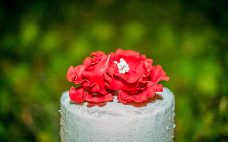 Wedding cake topper | Traditional Indian wedding reception in Delray Beach