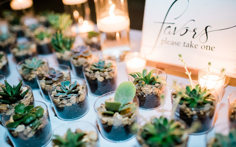Wedding Favors | Succulents | Miami Beach Botanical Garden wedding reception