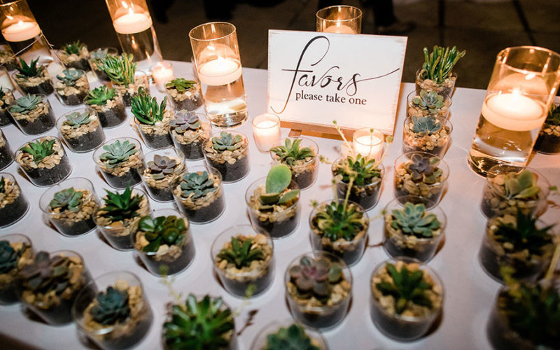 Wedding Favors | Succulents | Miami Beach Botanical Garden wedding reception