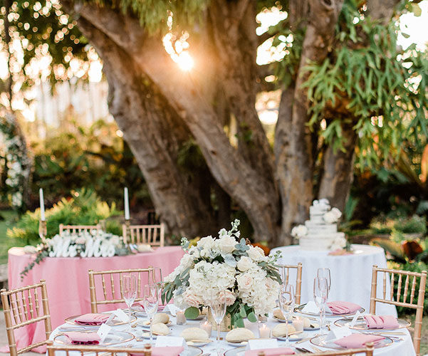 Miami Beach Botanical Gardens wedding reception
