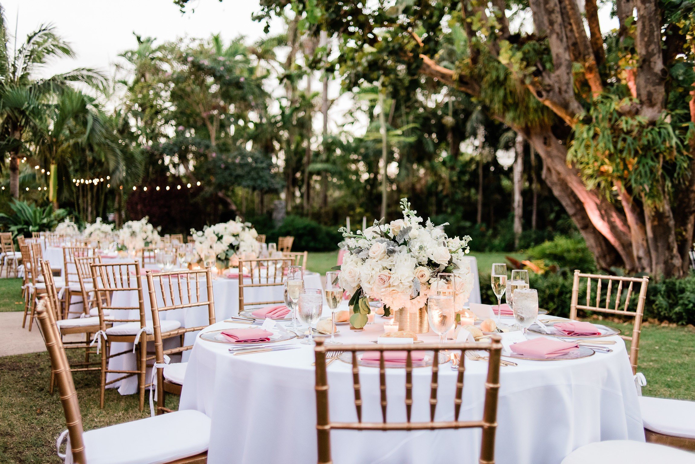 luxury wedding venues in miami outdoor | miami beach botanical garden 