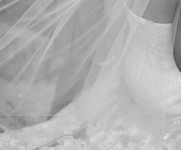 wedding veil | fairchild tropical botanic garden wedding