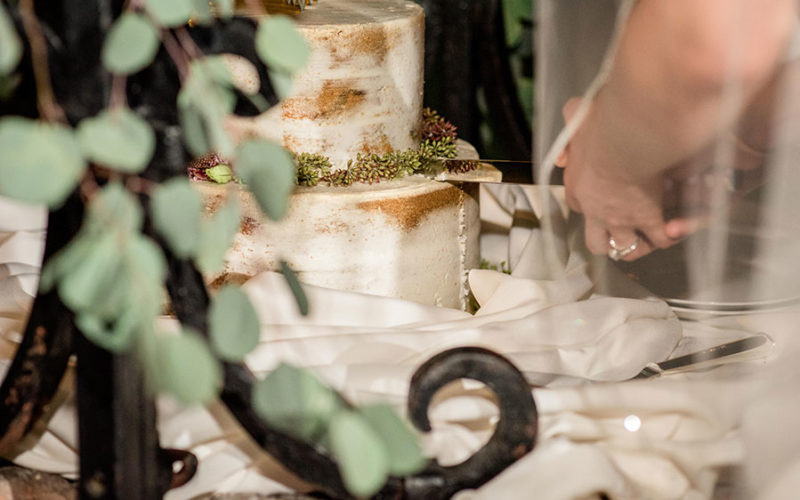 Cake cutting at Ancient Spanish Monastery wedding