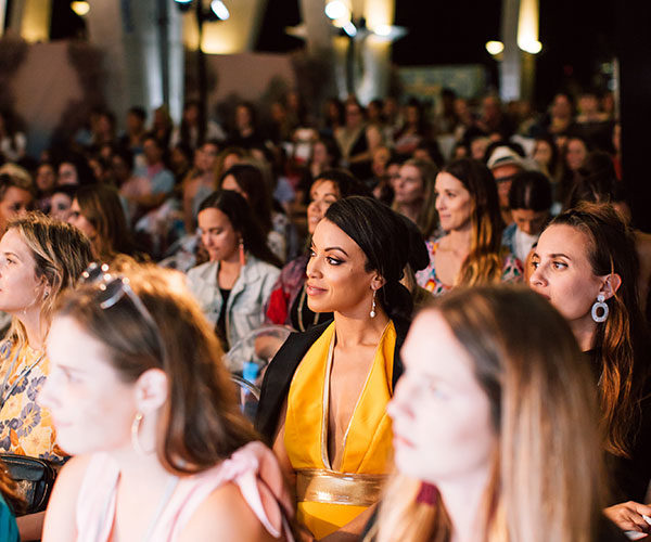 create cultivate audience