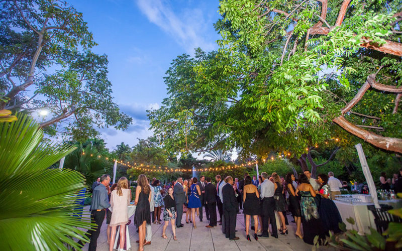 miami botanical garden wedding | cocktail hour