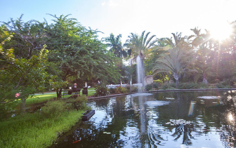 miami beach botanical garden wedding | pond