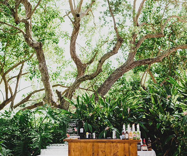 thalatta estate wedding pictures | reception bar