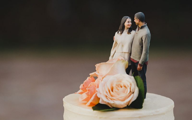 thalatta estate wedding pictures | wedding cake topper