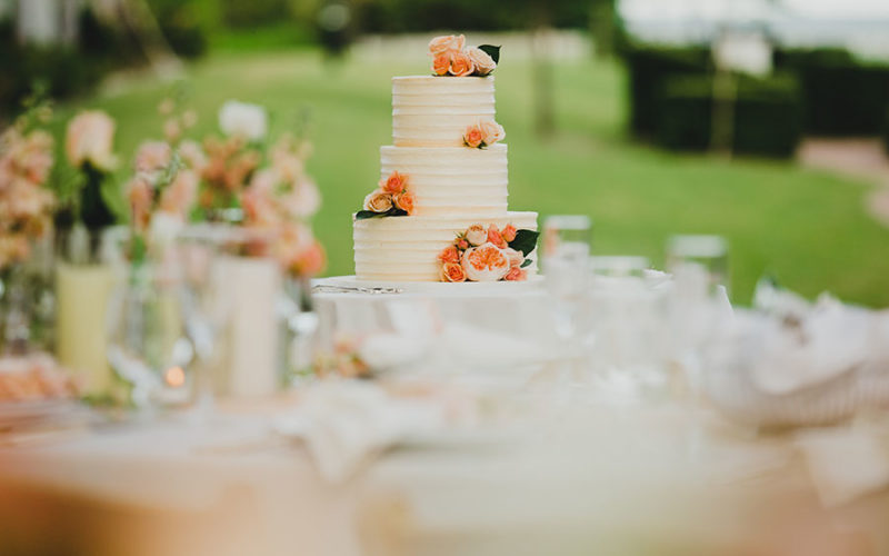 thalatta estate wedding pictures | wedding cake