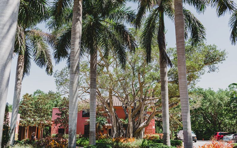 thalatta estate wedding venue | wedding locations miami