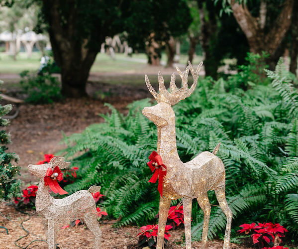 Deering Estate winter wedding in Miami | Holiday Decor