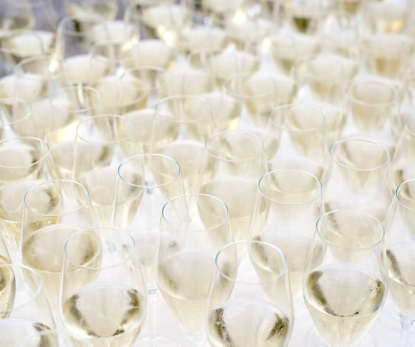 Deering Estate winter wedding in Miami | Champagne Welcome Drink