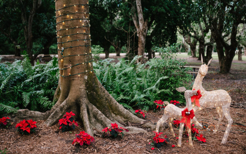 Deering Estate winter wedding in Miami | holiday decor