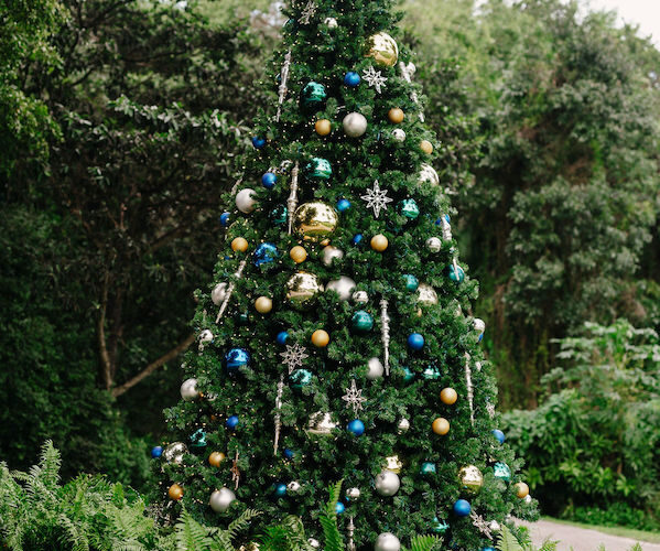 Deering Estate winter wedding in Miami | Christmas Tree