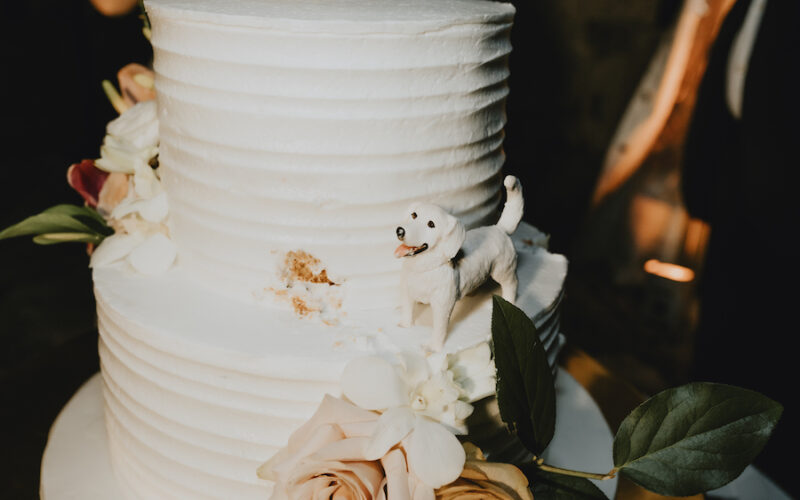 Vizcaya wedding Miami | Caroline and Marc | dog wedding cake topper